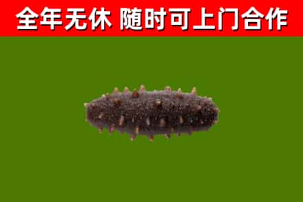 通州区烟酒回收干海参.jpg